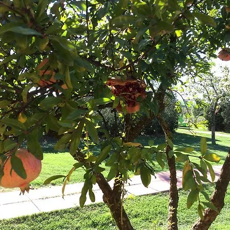 Agriturismo Alturetta *